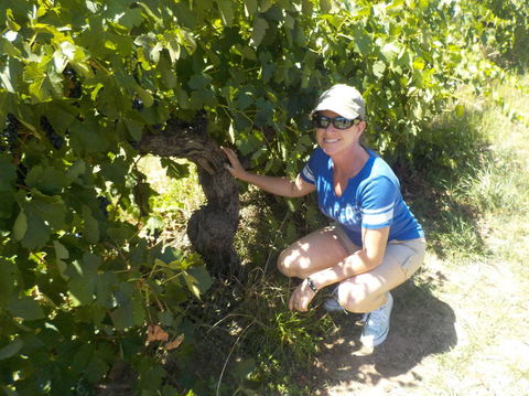 Barossa Valley Wineries Tour With Tastings And Lunch From Adelaide - Attractions Melbourne 11