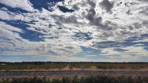Barossa Valley Full-Day Tour From Adelaide With Maggie Beer Farm - Attractions Melbourne 3