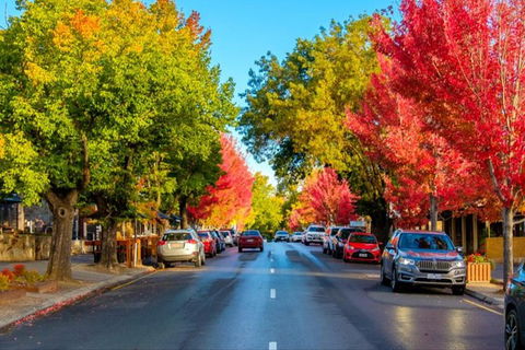 Barossa Valley Full-Day Tour From Adelaide With Maggie Beer Farm - Attractions Melbourne 6