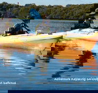 Adelaide Dolphin Sanctuary and Ships Graveyard Kayak Tour - Attractions Melbourne