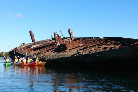 Adelaide Dolphin Sanctuary And Ships Graveyard Kayak Tour - Attractions Melbourne 1