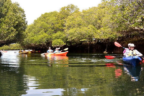 Adelaide Dolphin Sanctuary And Ships Graveyard Kayak Tour - Attractions Melbourne 8