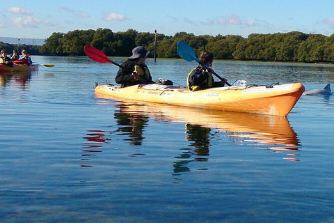 Adelaide Dolphin Sanctuary And Ships Graveyard Kayak Tour - Attractions Melbourne 3
