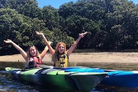 Adelaide Dolphin Sanctuary And Ships Graveyard Kayak Tour - Attractions Melbourne 4