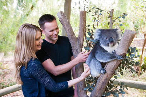 Adelaide Central Market With Cleland Wildlife Park And Mount Lofty Summit - Attractions Melbourne 1