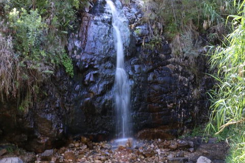 Self-Guided Waterfall Gully To Mount Lofty Hike From Adelaide - Attractions Melbourne 2