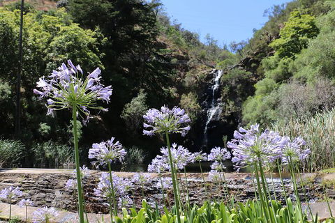 Self-Guided Waterfall Gully To Mount Lofty Hike From Adelaide - Attractions Melbourne 6