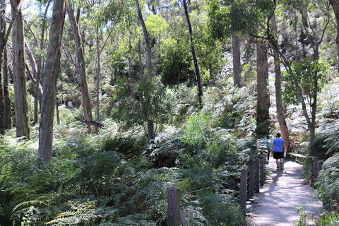 Self-Guided Waterfall Gully To Mount Lofty Hike From Adelaide - Attractions Melbourne 3