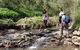 Small Group Bush Walk & BBQ With Wine Day Trip From Adelaide - thumb 0