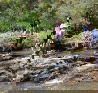 Small Group Bush Walk  BBQ with Wine Day Trip from Adelaide - Attractions Melbourne