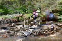 Small Group Bush Walk  BBQ with Wine Day Trip from Adelaide