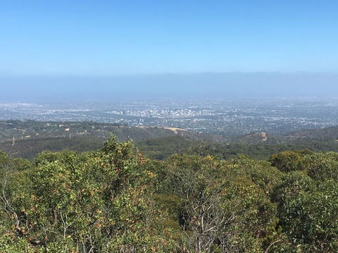 Adelaide Hills And Hahndorf Tour From Adelaide With Wine And Cheese Tasting - Attractions Melbourne 8