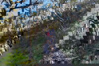 Mount Lofty Hike and Cleland Wildlife Park Day Trip from Adelaide