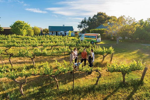 Barossa Valley Highlights From Adelaide Including Wine And Cheese Tasting - Attractions Melbourne 14