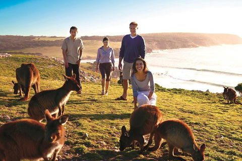 5-Day Adelaide And Kangaroo Island Tour Including Barossa Valley Wine Tasting - Attractions Melbourne 0