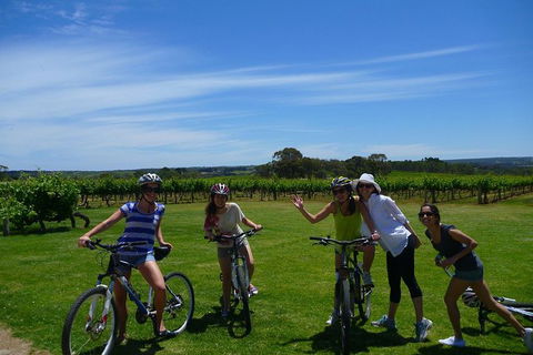 McLaren Vale Wine Tour By Bike - Attractions Melbourne 1