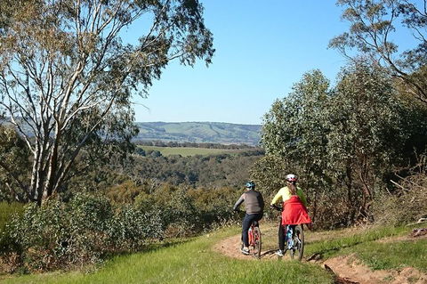 McLaren Vale Wine Tour By Bike - Attractions Melbourne 13