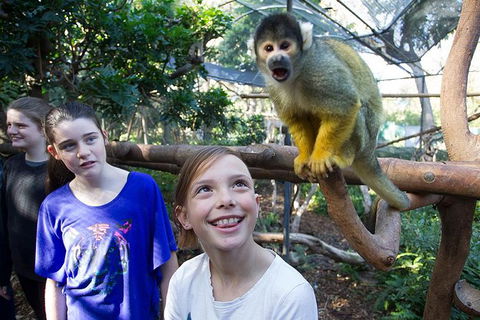 Adelaide Zoo Behind The Scenes Experience: Squirrel Monkey Feeding - Attractions Melbourne 1