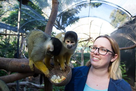 Adelaide Zoo Behind The Scenes Experience: Squirrel Monkey Feeding - Attractions Melbourne 0
