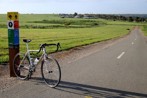 McLaren Vale Shiraz Trail Cycling Tour From Adelaide - Attractions Melbourne 1