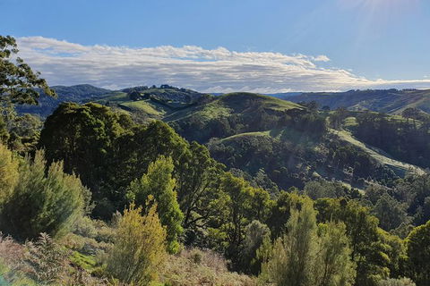 3-Day Adelaide To Melbourne Tour Including The Great Ocean Road - Attractions Melbourne 7