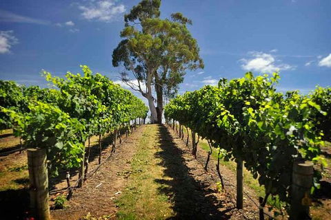 Small Group Adelaide Hills And Hahndorf Hideaway Tour From Adelaide - Attractions Melbourne 5