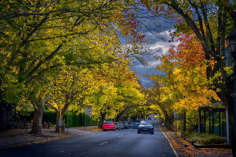 Small Group Adelaide Hills And Hahndorf Hideaway Tour From Adelaide - Attractions Melbourne 8