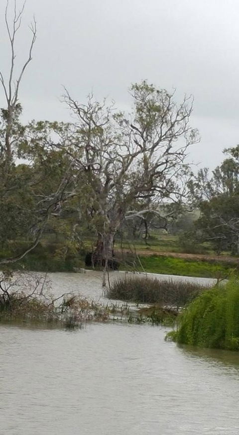 Murray River Riverboat Tour Including Lunch From Adelaide - Attractions Melbourne 2