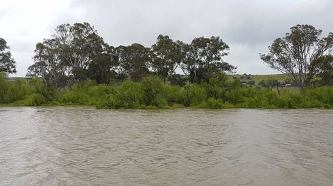 Murray River Riverboat Tour Including Lunch From Adelaide - Attractions Melbourne 10