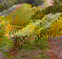 Private Adelaide Hills Wine Region Tour - Attractions Melbourne