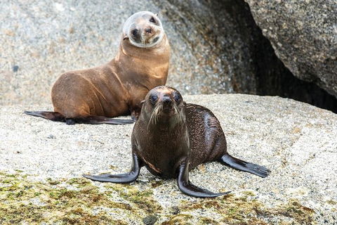 Victor Harbor And McLaren Vale Wine Region Day Tour - Attractions Melbourne 1