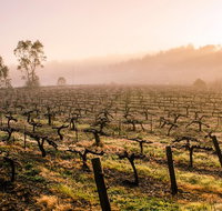 Barossa Valley Private Tour It's your tour the way you want it. - Attractions Melbourne
