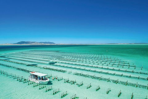 Coffin Bay Day Tour - A Taste Of Coffin Bay - Attractions Melbourne 0