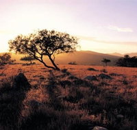 Adelaide To Coober Pedy 7 DAY SMALL GROUP 4WD SAFARI - Attractions Melbourne