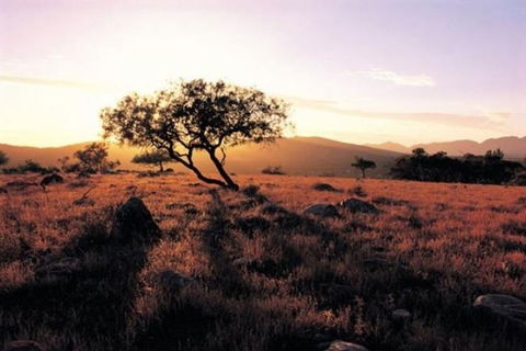 Adelaide To Coober Pedy 7 DAY SMALL GROUP 4WD SAFARI - Attractions Melbourne 0
