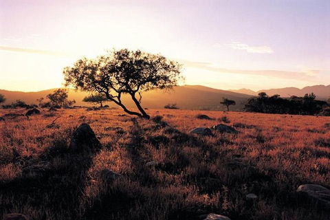 Adelaide To Coober Pedy 7 DAY SMALL GROUP 4WD SAFARI - Attractions Melbourne 4