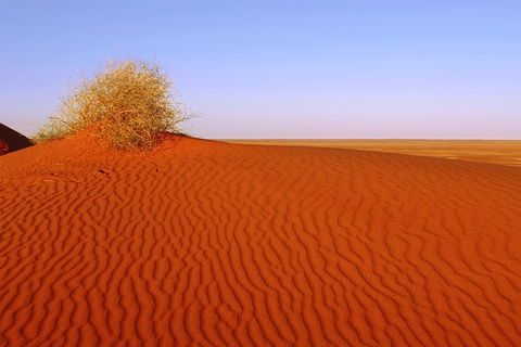 Adelaide To Coober Pedy 7 DAY SMALL GROUP 4WD SAFARI - Attractions Melbourne 3