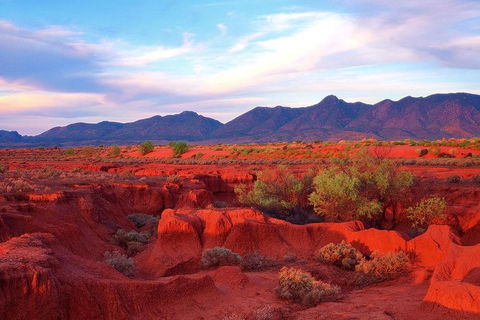 Adelaide To Coober Pedy 7 DAY SMALL GROUP 4WD SAFARI - Attractions Melbourne 7