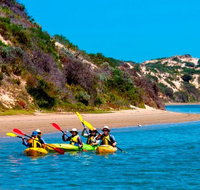 Half-Day Kayaking Tour in Coorong National Park - Attractions Melbourne