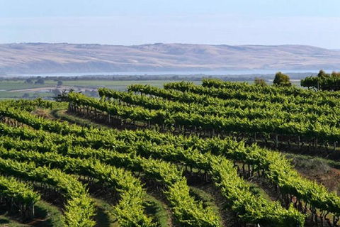 Victor Harbor And Southern Highlights From Adelaide Including Lunch - Attractions Melbourne 3