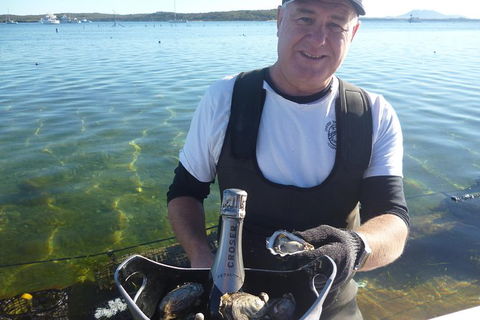 Oyster Farm And Tasting Tour With Hotel Pick-up And Return From Port Lincoln - Attractions Melbourne 0