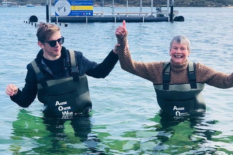 Oyster Farm And Tasting Tour With Hotel Pick-up And Return From Port Lincoln - Attractions Melbourne 5