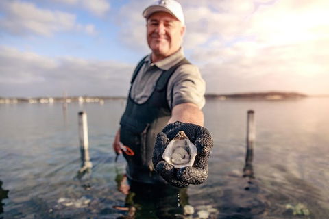 Oyster Farm And Tasting Tour With Hotel Pick-up And Return From Port Lincoln - Attractions Melbourne 3