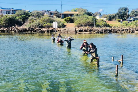 Oyster Farm And Tasting Tour With Hotel Pick-up And Return From Port Lincoln - Attractions Melbourne 6