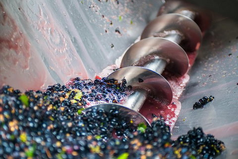 The Ultimate Shottesbrooke Wine & Food Experience - Attractions Melbourne 9