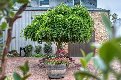 The Ultimate Shottesbrooke Wine & Food Experience - Attractions Melbourne 4