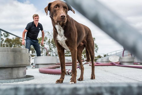 The Ultimate Shottesbrooke Wine & Food Experience - Attractions Melbourne 6