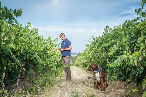 The Ultimate Shottesbrooke Wine & Food Experience - Attractions Melbourne 7