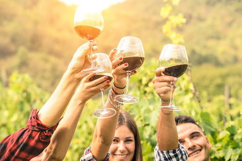 Adelaide Hills Day Tour. Winery Cellar Doors - Attractions Melbourne 6