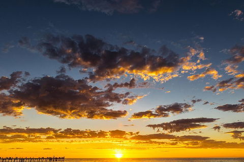 Adelaide Ocean Safari - Twilight Safari - Attractions Melbourne 1